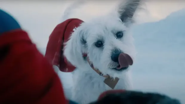 Penampilan Krypto si Superdog dalam trailer terbaru Superman.