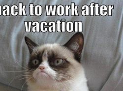 Meme Lucu Libur Telah Usai, Besok Kembali Bekerja
