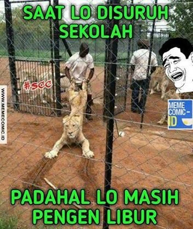 Meme Lucu Libur Telah Usai, Besok Kembali Bekerja