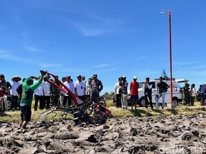 Panen Raya Bareng Presiden, Banyuwangi Panen Padi 4 Kali Setahun