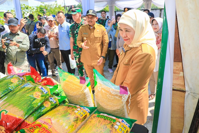 Panen raya serentak padi di Jatim