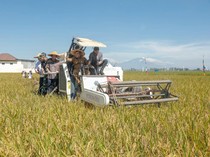 Ahmad Luthfi Yakin Jateng Mampu Penuhi Target 11,8 Juta Ton Padi di 2025