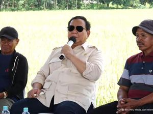 Prabowo Minta Mentan Turunkan Harga Daging dan Telur saat Panen Raya
