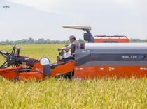 448 Ha Lahan KAI Disewakan untuk Program Ketahanan Pangan Nasional