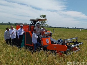 Prabowo dan Zulhas Hadiri Panen Raya di Majalengka