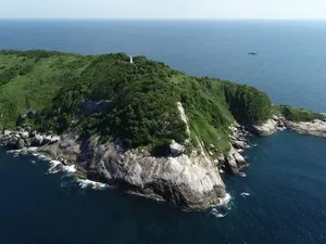 Pulau Terlarang Ini Dipenuhi Ular Mematikan, Letaknya Di Mana?