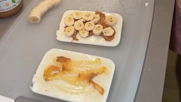 sandwich susu beku
