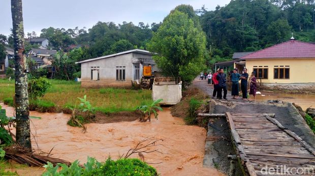 Sawah tercemar di Cihaur, Kabupaten Sukabumi.