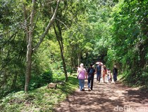 Cerah Berawan Temani Akhir Pekan di Bandung, Sabtu 4 Juli 2026