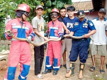 Warga Jambi Heboh Ada Ular Kobra 3 Meter Sembunyi di Mesin Air