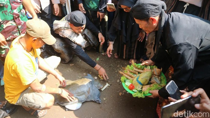 Tradisi Bulusan di Desa Hadipolo, Kecamatan Jekulo, Kabupaten Kudus, Senin (7/4/2025).