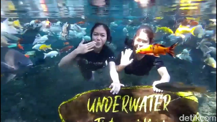 Wisata Tirtosari Lumajang