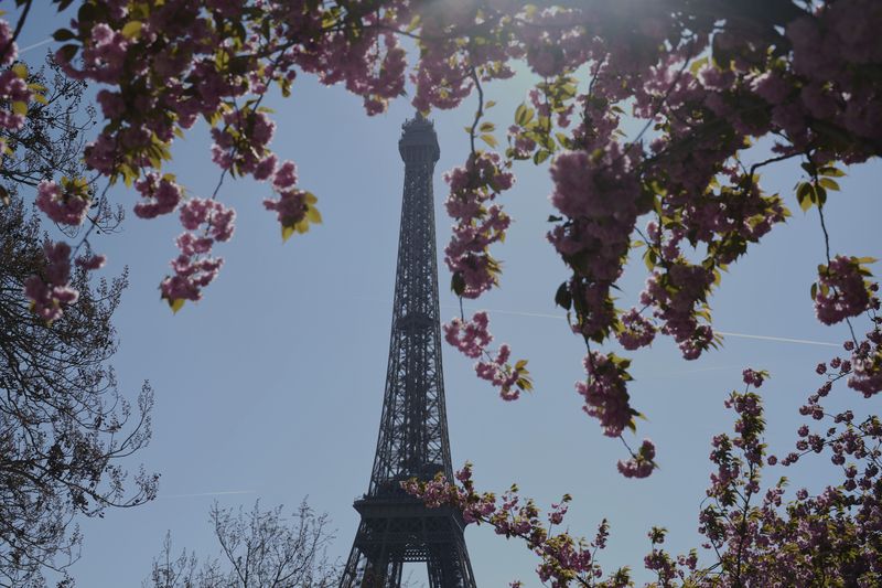 Bunga-bunga bermekaran di dekat Menara Eiffel di Paris, Prancis. Ini potretnya.
