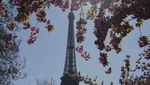 Cantiknya Bunga-bunga Bermekaran yang Dekat Menara Eiffel