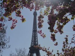 Paus Fransiskus Wafat, Menara Eiffel Padamkan Lampu sebagai Tanda Berkabung