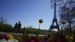Cantiknya Bunga-bunga Bermekaran yang Dekat Menara Eiffel