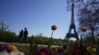 Tiba-tiba Ingin ke Paris atau Tokyo Weekend Ini? Cek Dulu Harga Tiket Pesawatnya