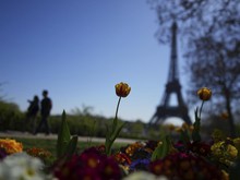 Tiba-tiba Ingin ke Paris atau Tokyo Weekend Ini? Cek Dulu Harga Tiket Pesawatnya