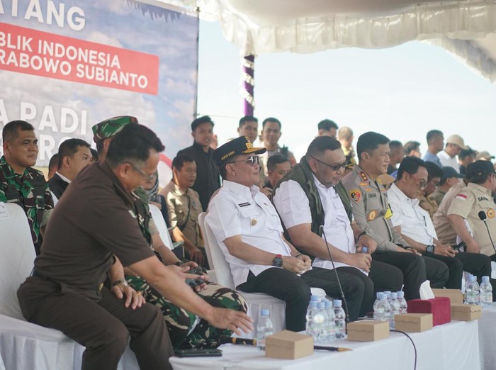 Gubernur Kalteng hingga Plt Kadisdik Kalteng saat menghadiri panen raya padi serentak di Pulang Pisau