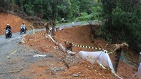 Pengendara melewati badan jalan lintas tengah penghubung Kabupaten Nagan Raya dan Kabupaten Aceh Tengah yang longsor di kawasan gunung singgah mata Kabupaten Nagan Raya, Aceh, Senin (7/4/2025).