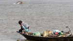 Gawat, Lumba-lumba di Sungai Gangga Terancam Punah