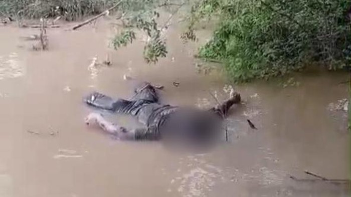 Mayat pria tanpa identitas ditemukan di pinggir sungai Muratara