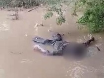 Mayat Mr X Ditemukan di Pinggir Sungai Muratara