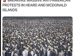 Meme Kocak Pulau Penguin Kena Tarif Trump