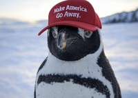 Meme pulau penguin kena tarif Trump