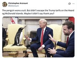 Meme Kocak Pulau Penguin Kena Tarif Trump