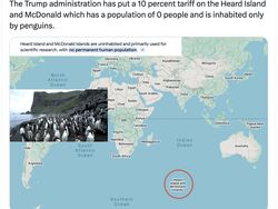 Meme Kocak Pulau Penguin Kena Tarif Trump