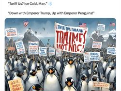 Meme Kocak Pulau Penguin Kena Tarif Trump