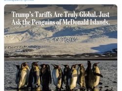 Meme Kocak Pulau Penguin Kena Tarif Trump