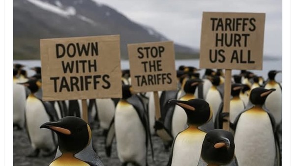Meme Kocak Pulau Penguin Kena Tarif Trump