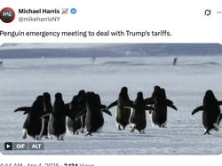 Meme Kocak Pulau Penguin Kena Tarif Trump