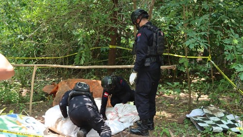 Proses pemusnahan granat dan amunisi yang ditemukan di lokasi pengungsi erupsi Gunung Lewotobi Laki-Laki, Flores Timur, NTT. Pemusnahan dilakukan Tim Unit Jibom Datasemen Gegana Satbrimob Polda NTT, Selasa (8/4/2025). (Dok. Polres Flores Timur)