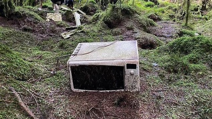 Sampah berserakan di Hutan Hafren, Wales