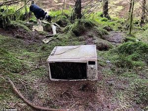 Nasib Hutan Hafren: Viral Dulu, Rusak Kemudian, Warlok pun Geram