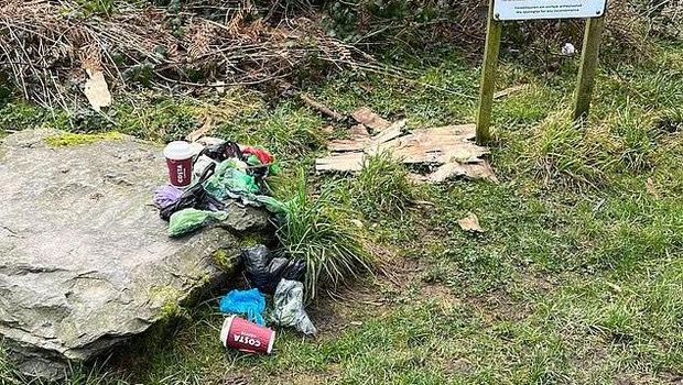 Sampah berserakan di Hutan Hafren, Wales