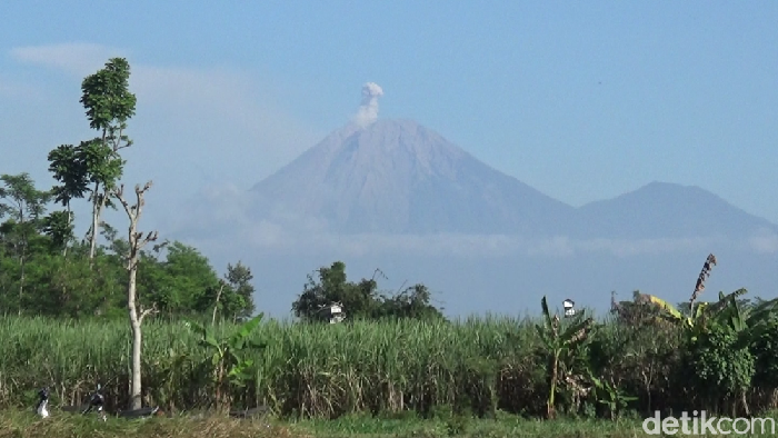 Semeru Erupsi 3 Kali Pagi Ini, Luncurkan Abu Vulkanik Setinggi 600 Meter