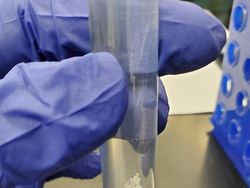 Deretan Foto Ungkap Sisi yang Tak Terlihat di Dunia Ini