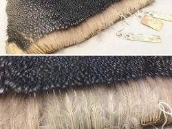 Deretan Foto Ungkap Sisi yang Tak Terlihat di Dunia Ini