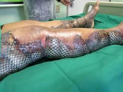 Deretan Foto Ungkap Sisi yang Tak Terlihat di Dunia Ini