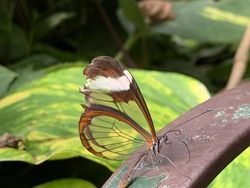 Deretan Foto Ungkap Sisi yang Tak Terlihat di Dunia Ini