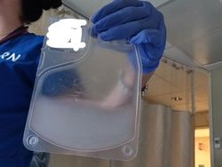 Deretan Foto Ungkap Sisi yang Tak Terlihat di Dunia Ini