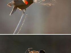 Deretan Foto Ungkap Sisi yang Tak Terlihat di Dunia Ini