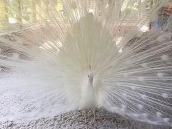 Deretan Foto Ungkap Sisi yang Tak Terlihat di Dunia Ini