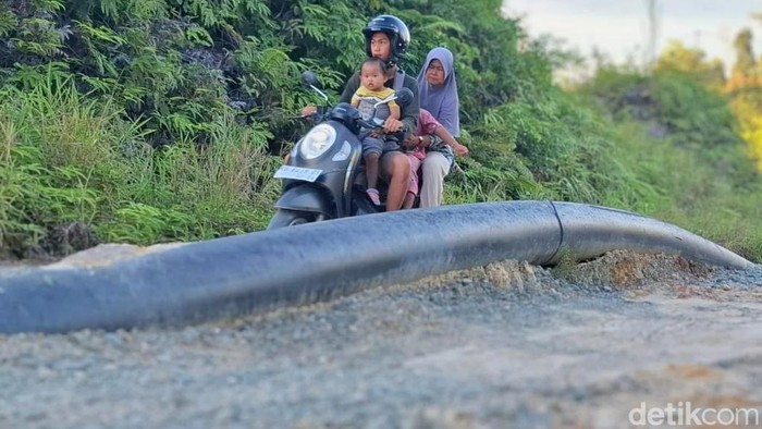 Lurah Karang Harapan di Tarakan, Wilson memberikan tanggapan terkait keluhan warga soal jalan rusak di kawasan Swaran, RT 12. Ia mengaku belum pernah melihat langsung aktivitas bongkar muat kayu yang diduga mempengaruhi kondisi jalan.