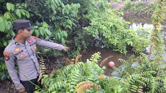 Lokasi bocah 8 tahun ditemukan tewas usai diterkam buaya berukuran 3 meter di Kutim.