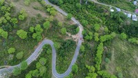 Foto udara jalan desa menuju kawasan wisata Paralayang Matantimali dari Desa Balane, Sigi, Sulawesi Tengah, Selasa (8/4/2025).